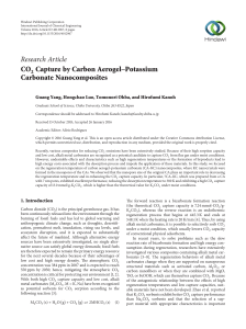 CO2 Capture by Carbon Aerogel–Potassium Carbonate
