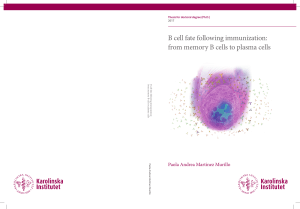 B cell fate following immunization: from memory B cells to plasma cells