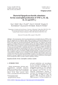 Bacterial lipopolysaccharide stimulates bovine neutrophil production