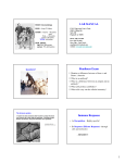 LAB MANUAL Readiness Exam Immune Response