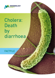 Cholera - Microbiology Online