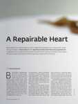 A Repairable Heart - Max-Planck