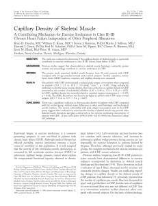 Capillary density of skeletal muscle