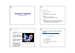 Enzyme Catalysis - Studentportalen