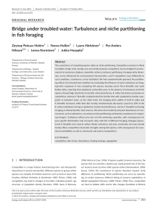 Bridge under troubled water: Turbulence and niche partitioning in