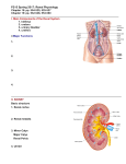 P215 Spring 2017: Renal Physiology