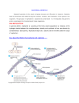 this lecture as PDF here