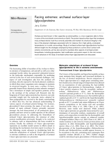 Facing extremes: archaeal surface-layer (glyco)proteins