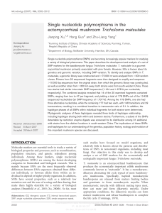 Single nucleotide polymorphisms in the ectomycorrhizal mushroom
