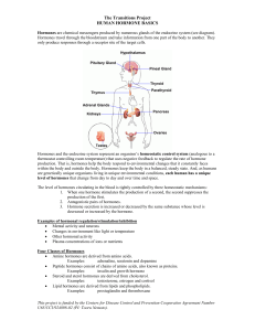 The Transitions Project HUMAN HORMONE BASICS