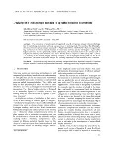 Docking of B-cell epitope antigen to specific hepatitis B antibody