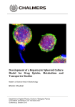 Development of a Hepatocyte Spheroid Culture Model for Drug