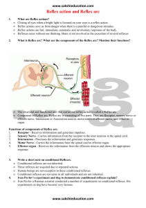 Reflex action and Reflex arc