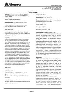 STIM1 monoclonal antibody (M01), clone 5A2