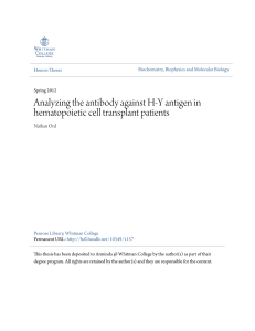 Analyzing the antibody against H-Y antigen in hematopoietic cell