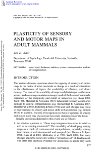 Plasticity of Sensory and Motor Maps in Adult Mammals
