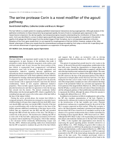 The serine protease Corin is a novel modifier of the agouti pathway