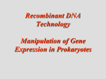 Recombinant DNA Technology Manipulation of Gene Expression in