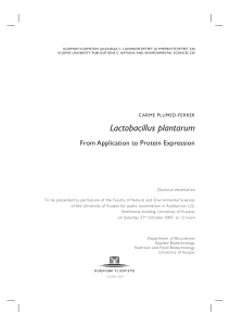 Lactobacillus plantarum - UEF Electronic Publications