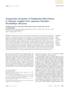 Comparative Evolution of Duplicated Ddx3 Genes in Teleosts