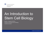 An Introduction to Stem Cell Biology