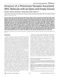 Structure of a Pheromone Receptor-Associated MHC Molecule with