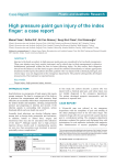 High pressure paint gun injury of the index finger: a case report