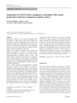 Expression of CD133 in the cytoplasm is associated with cancer