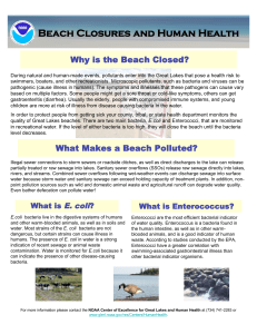 Beach Closures and Human Health