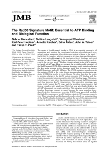 The Rad50 Signature Motif: Essential to ATP Binding and