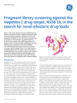 Fragment library screening against the Hepatitis C drug target