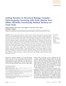 Complex Heterozygosity Screening with Actin Alanine Scan Alleles