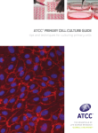 ATCC® PRIMARY CELL CuLTuRE GuIdE