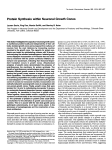 Protein Synthesis within Neuronal Growth Cones