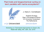 Plant traits and biochemical cycling on land