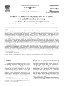 Evidence for implication of primate area V1 in neural 3