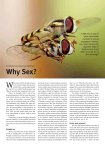 Why Sex? - Lab Times