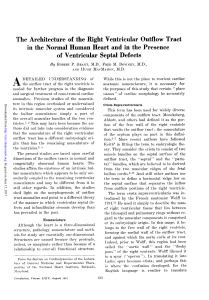 The Architecture of the Right Ventricular Outflow Tract