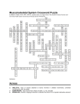 Musculoskeletal System Crossword Puzzle Across