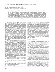 A New Subfamily of Major Intrinsic Proteins in