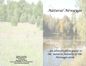 Natural Newaygo 2