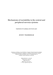 Mechanisms of excitability in the central and peripheral nervous