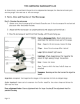 THE COMPOUND MICROSCOPE LAB I. Parts, Care and Function of