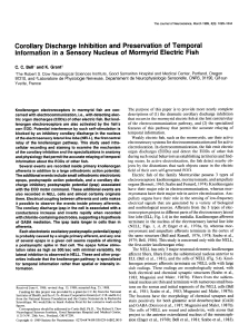 Corollary Discharge Inhibition and Preservation of Temporal