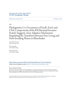 Phylogenetic Co-Occurrence of ExoR, ExoS, and ChvI, Components