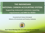 The Indonesian National Carbon Accounting System - LCS-RNet