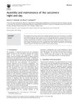 Assembly and maintenance of the sarcomere night and day