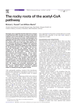 The rocky roots of the acetyl
