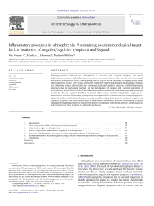 Inflammatory processes in schizophrenia: A