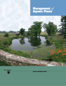 Management of Aquatıc Plants